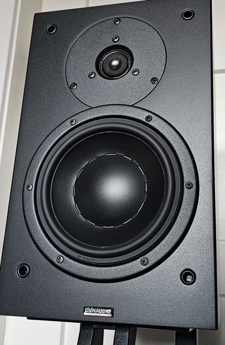 Dynaudio audience 52