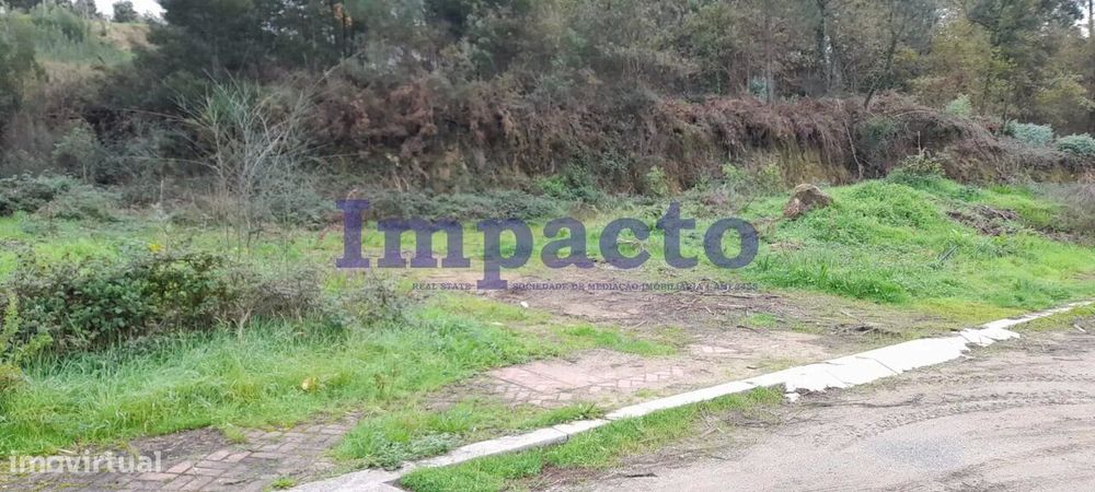 Loteamento para construção em Alviães, Palmaz — Pinheiro Da Bemposta, Travanca E Palmaz, Aveiro