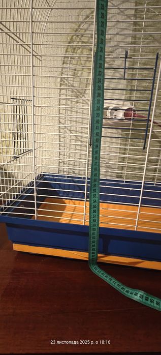 Велика клітка для папуги