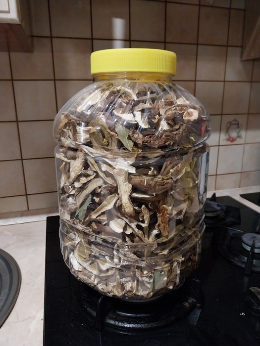 Suszone grzybki . BOROWIKI