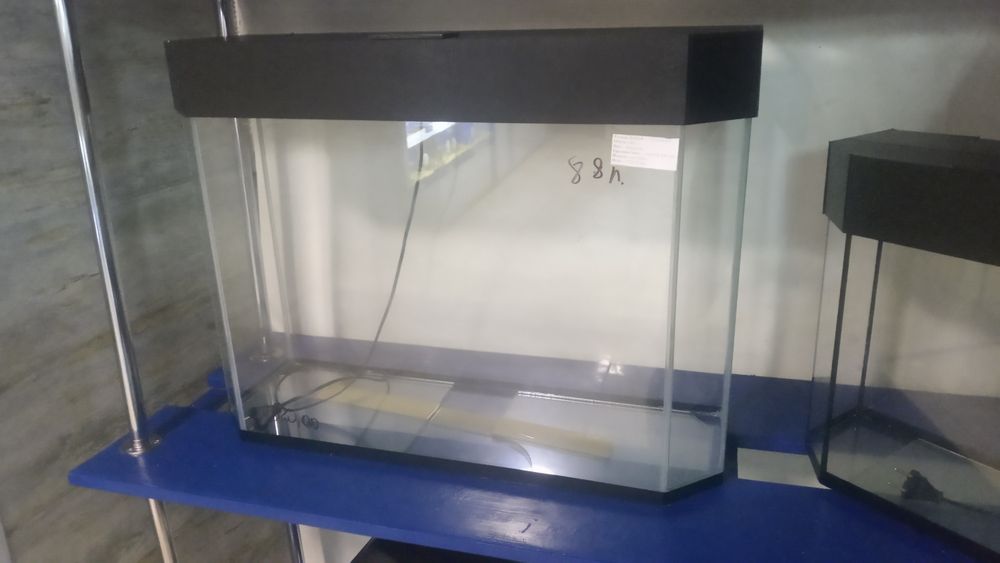 Аквариумы новые 22л,34л, 52л, 54л, 65 аквариумные рыбки