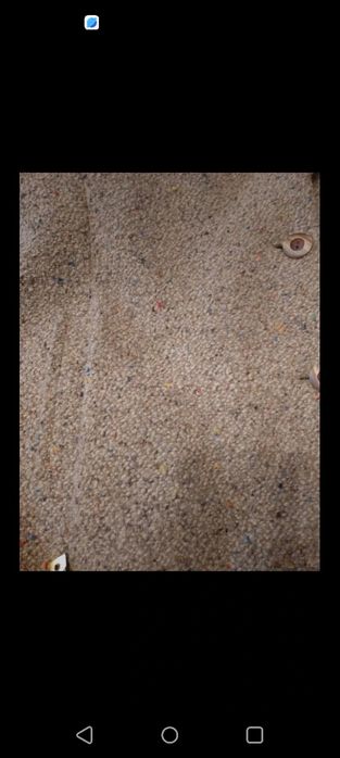 Plasz plus size z odpinanym kołnierzem