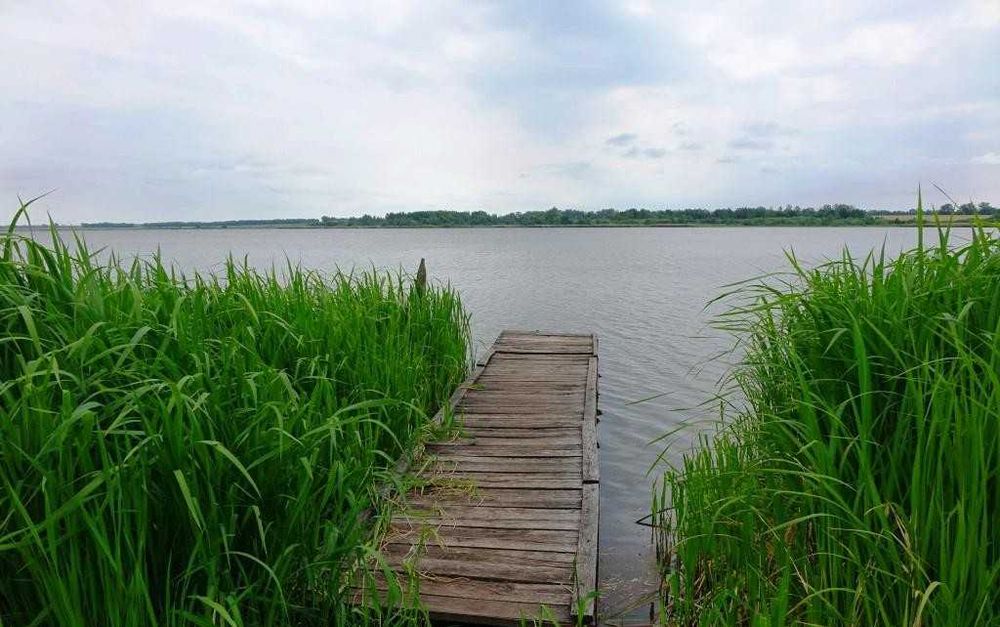 (7) Продаж ділянки під садівництво 12 соток, с. Рибаче (1143)