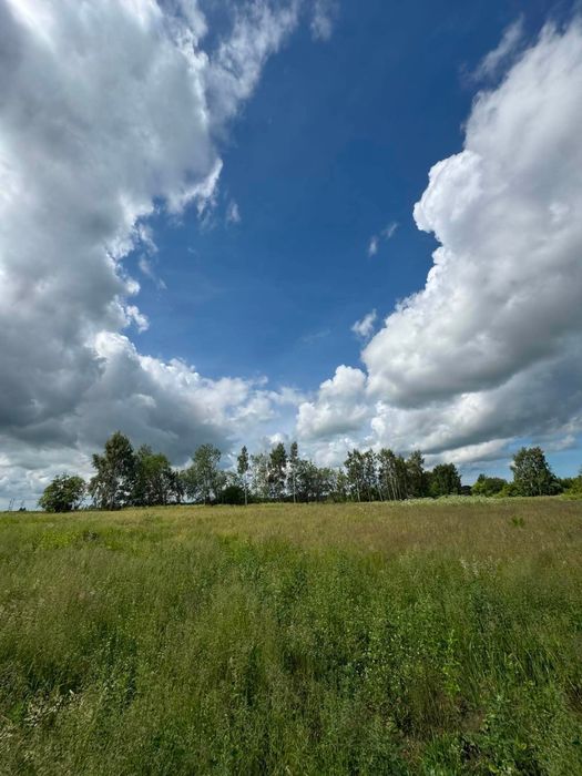 Kompleks inwestycyjny 3,71 ha | Działki | Trzebiatów | 8 km od morza - Widok 5
