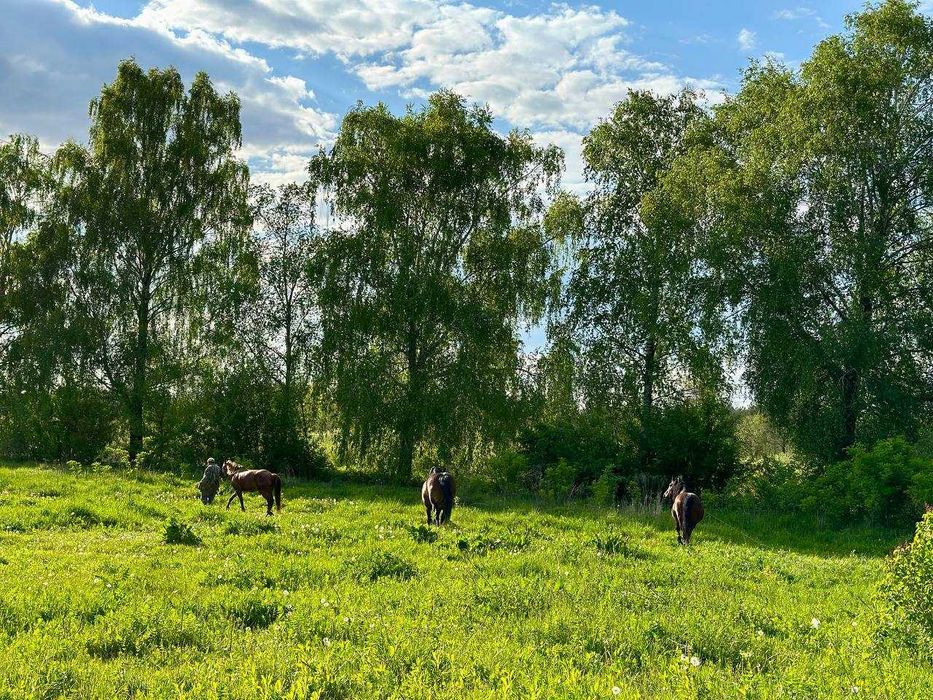 Розкішна, величезна ділянка з будинком, річкою та ставом (Луцький р-н)