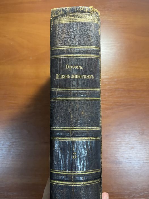 Книга «Жизнь животных Брэма» 1896 год 3 том
