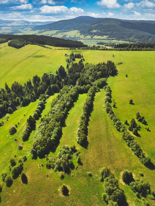 Widokowa działka budowlana Kamieńczyk
