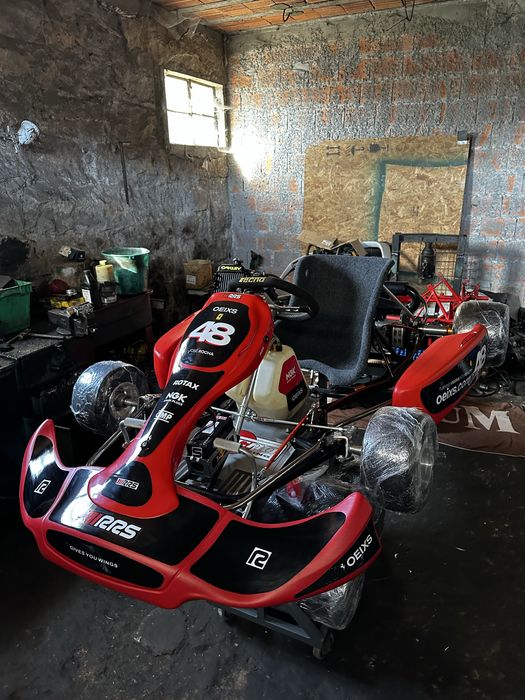 Kart Rotax Max 125