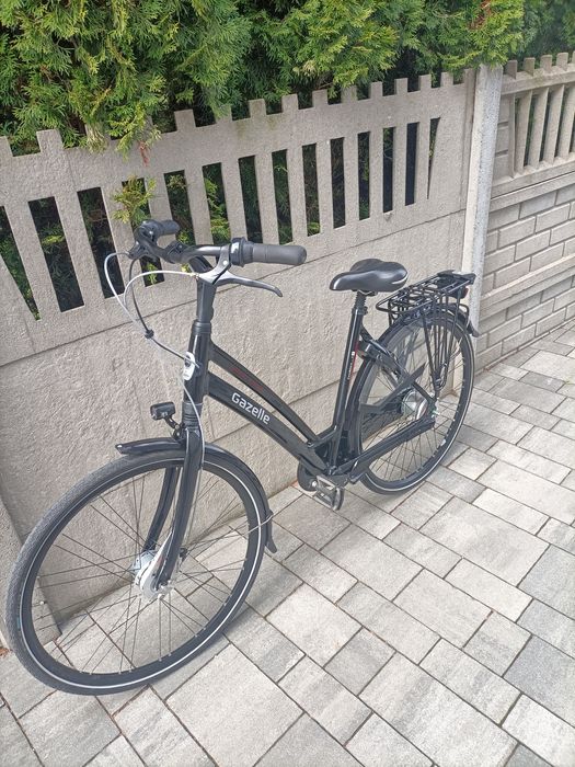 Rower Gazelle Chamonix C8 rama 53