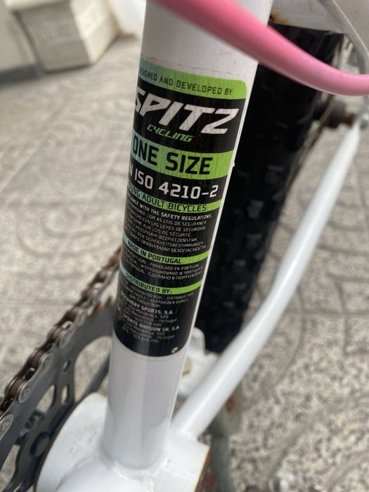 Bicicleta Criança/adulto
