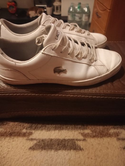 Buty Lacoste męskie