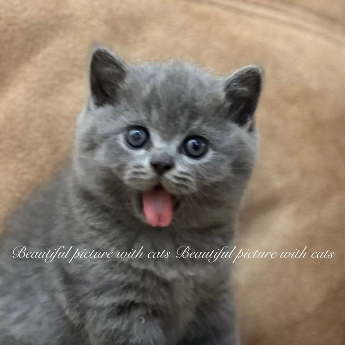 Дуже грний хлопчик