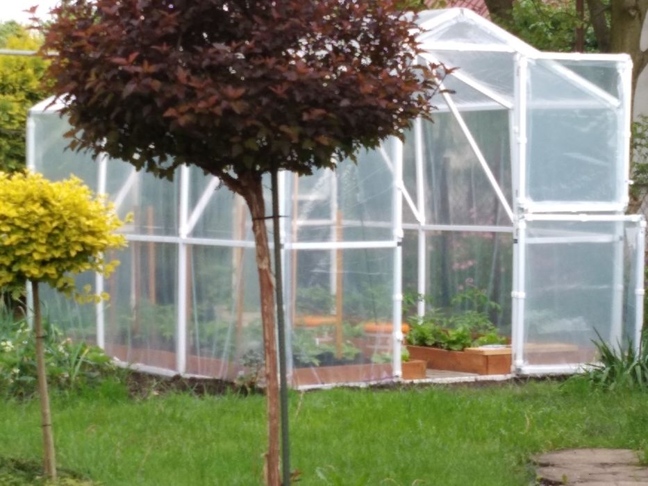 Tunel foliowy Polskie Tunele Foliowe PTF używany