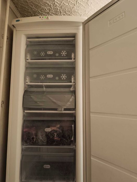 Продам морозильну шафу Zanussi ZFU 27400 WA.