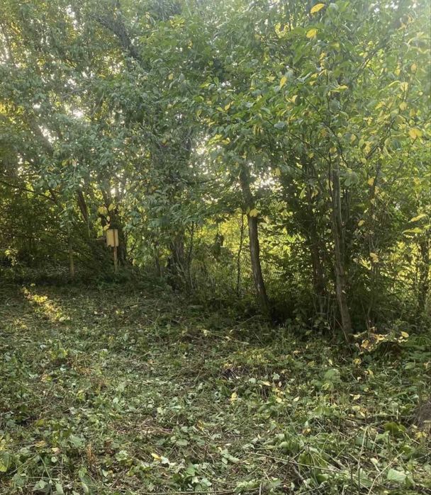 Земельна ділянка з будиночком с Копачів