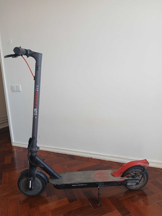 Trotinete Olsson Brothers Fresh