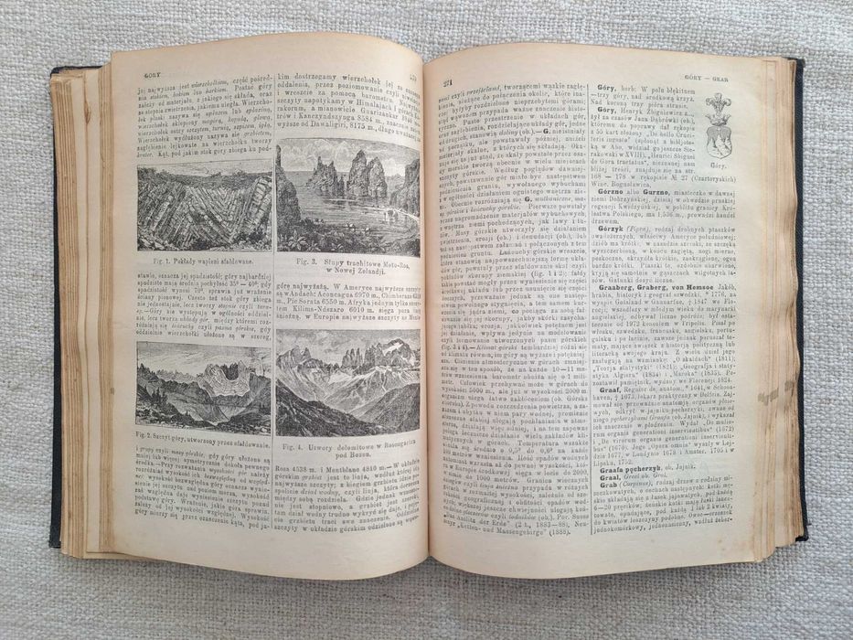 1900 rok. Encyklopedia Powszechna S. Orgelbranda. Tom VI