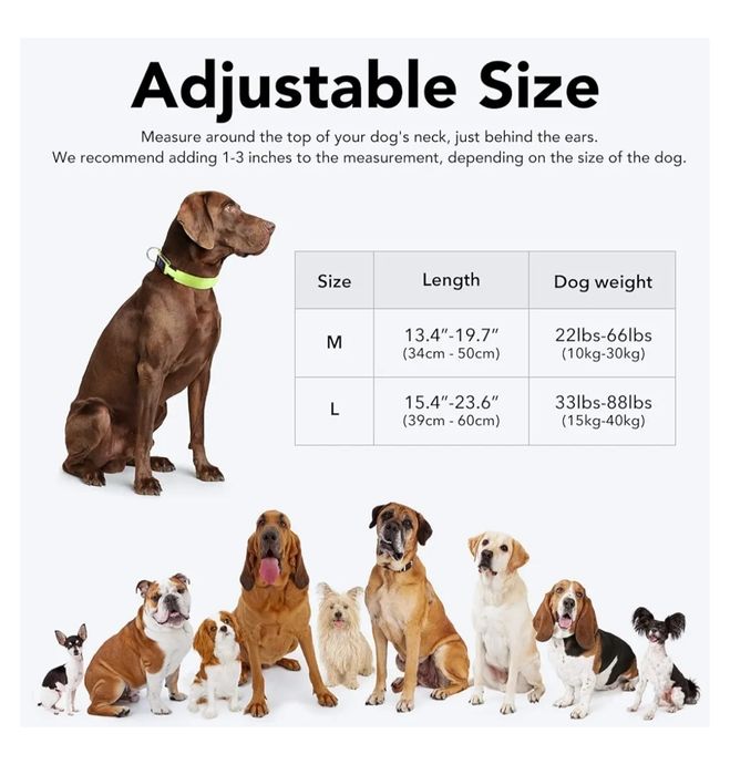 Świecąca obroża dla psa w nocy, regulowana Led