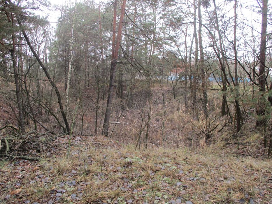 Продаж земельної ділянки 22,47 сот. Київська обл., с.Жукин  9100$