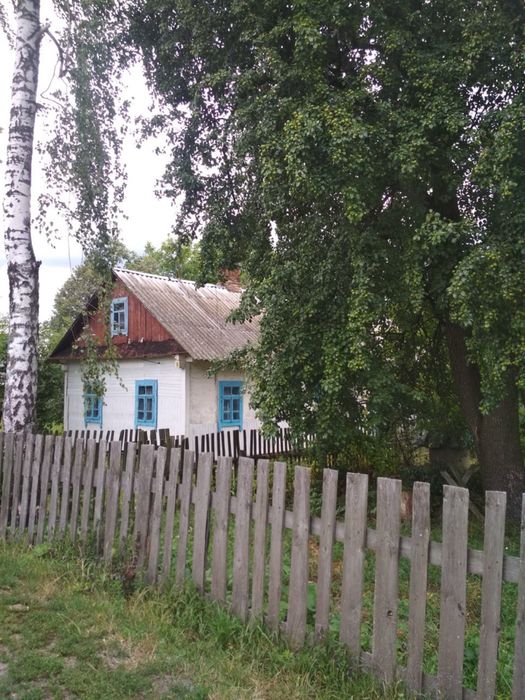 Будинок з ділянкою, хата