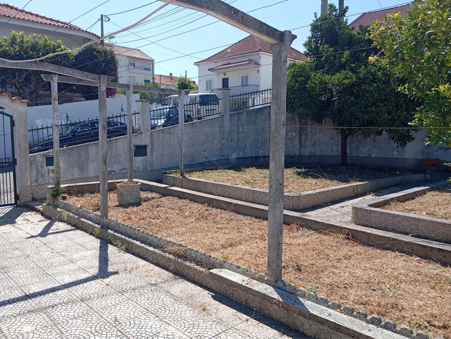 Desmatamento e Limpeza de terrenos
