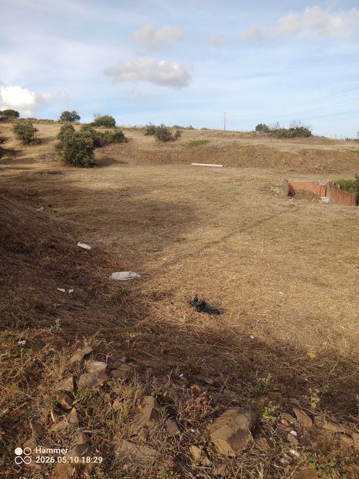 Serviços agrícolas/Agricultural services, land clearing