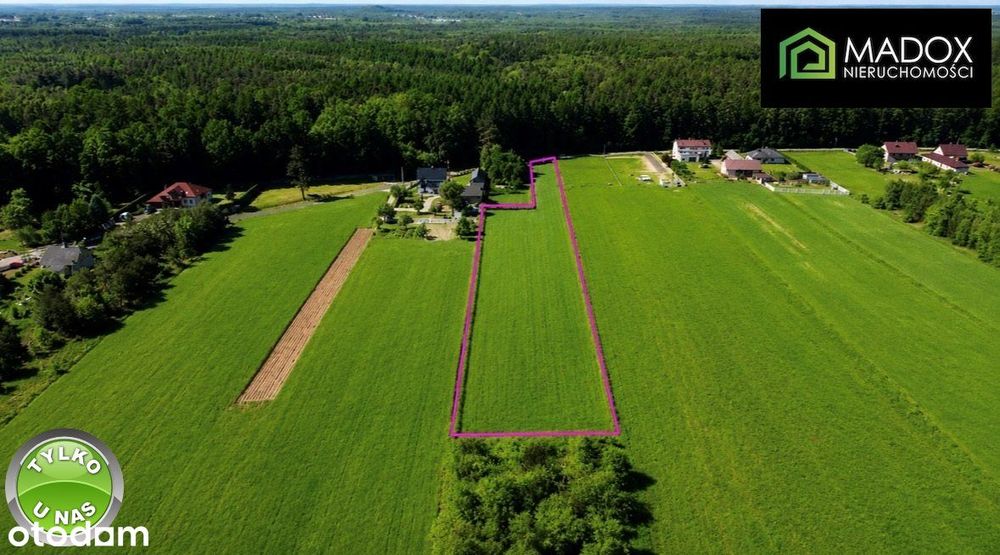Działka 6914 m² | Pierzchno | Mpzp