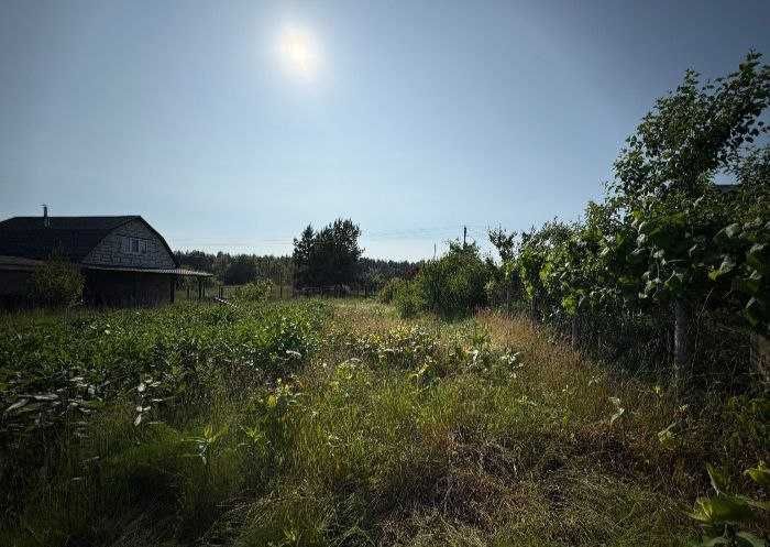 Земельна ділянка с.Хрещатик. ТОРГ