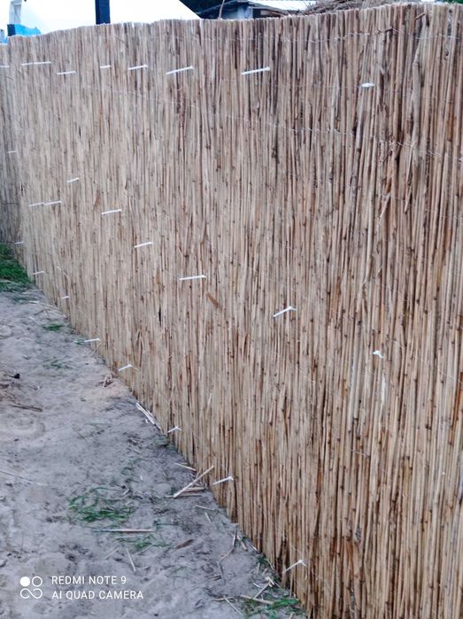 Mata trzcinowa maty trzcinowe trzcina 180x600