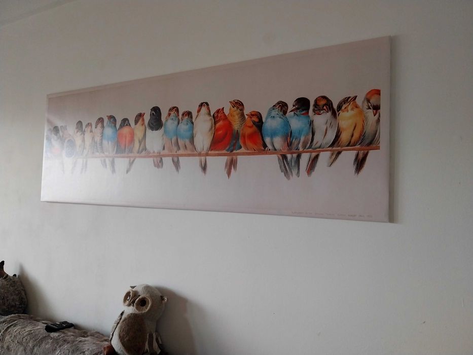 Quadro/tela com aves/pássaros