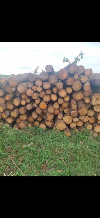 Drewno opałowe Kominkowe metry wałki do pieca