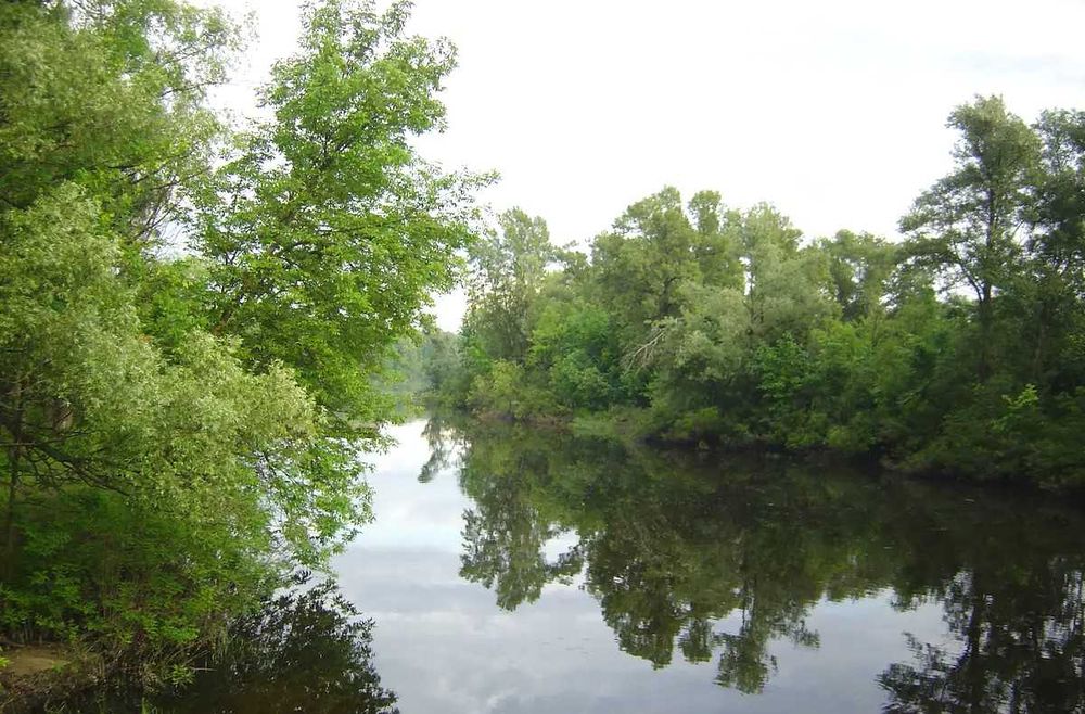 120 Дом сруб парная баня мангал рыбалка  центр Киева  Труханов остров