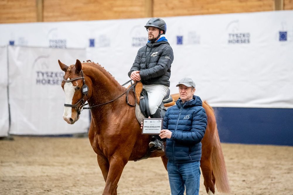 Stanówka ogierem Oraia Othello KWPN licencja PZHK / AES