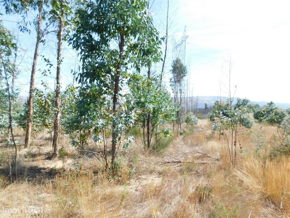Terreno / Seia, Tourais — Santa Comba, Guarda
