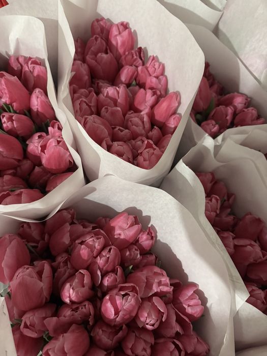 Тюльпан оптом до 8 березня