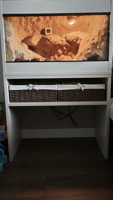 Terrarium pustynne
