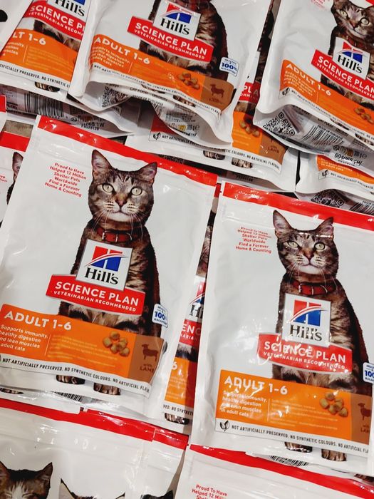 40 szt. Hills hill's karma sucha dla kota / adult / kitten