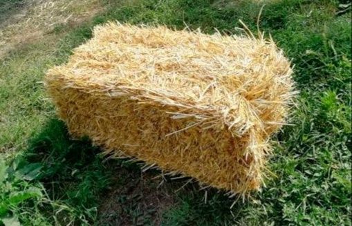 Сіно сено солома в тюках, в мешках с доставкой по нп.