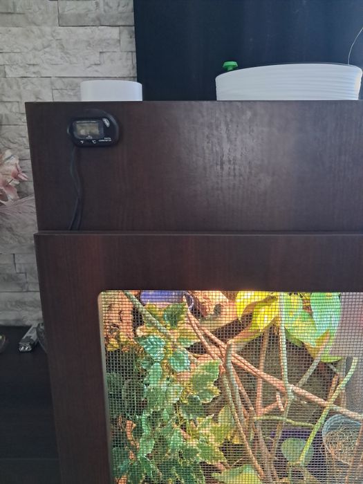 Duże terrarium dla gada, jaszczurki, kameleona, cały zestaw, 145x60x60