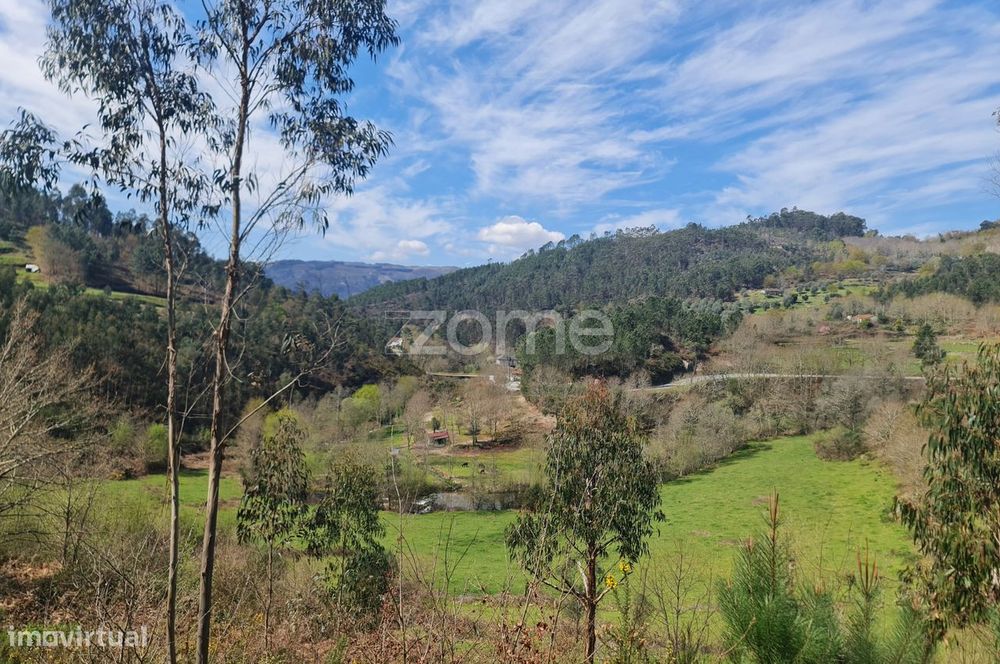 Terreno