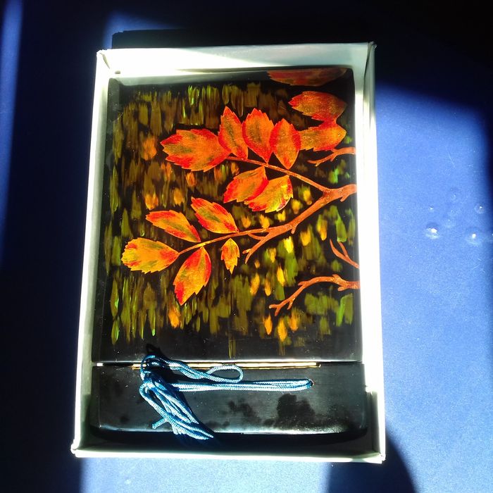 Album na zdjęcia, fotograficzny klaser laka PRL