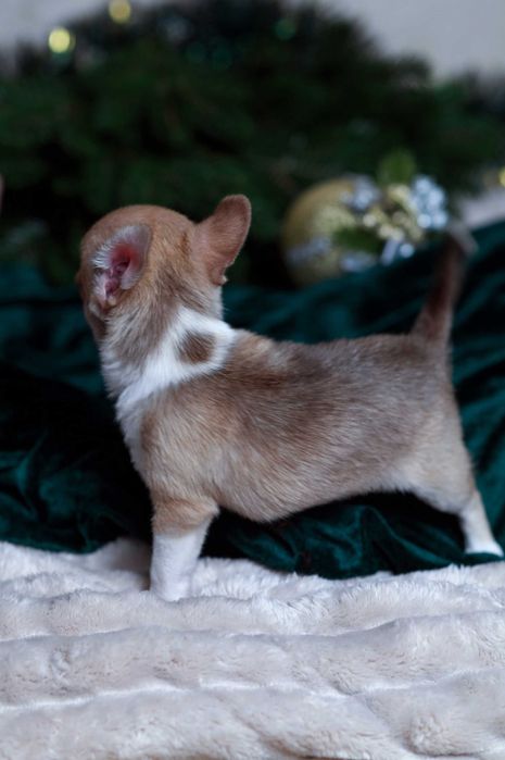 Некоторые встречи меняют жизнь навсегда.