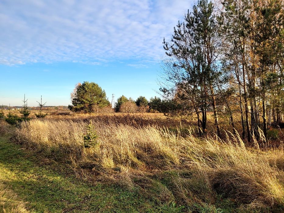 Duża działka budowlana w Zalesiu, wydane warunkami zabudowy