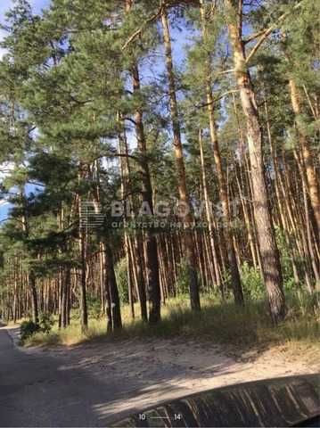 Чапаевка - участок 9 соток