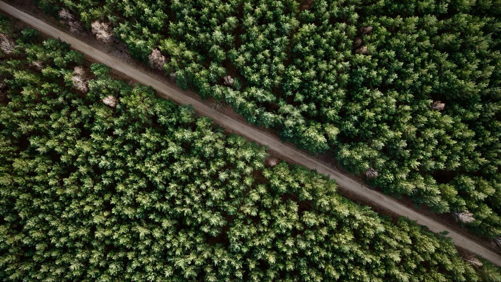 Usługi dronem, zdjecia i nagrania, DJI R3S, uprawnienia