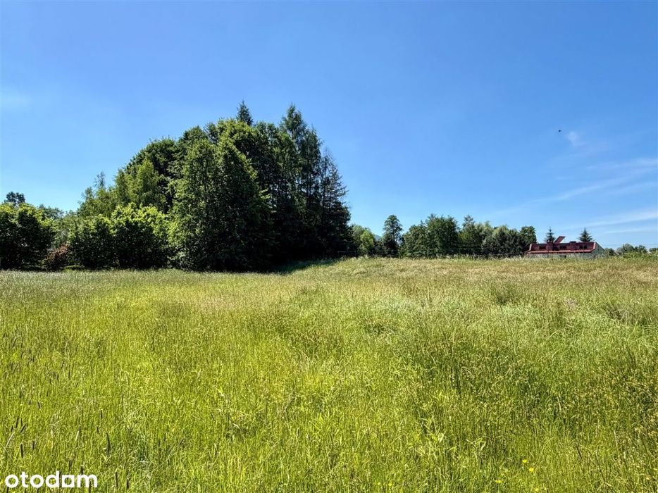 Działka budowlana 1093 m² | Górki Wielkie - Widok 2