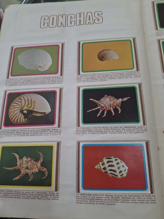 Caderneta de Cromos completa com 250 cromos ""Mineralogia - Minerais, Fósseis e Conchas" Edições Francisco  Más Lda de 1977