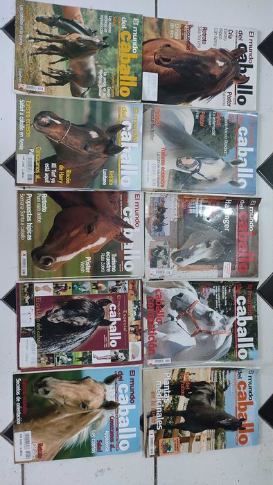 Lote 30 Revistas El Mundo de Caballo
