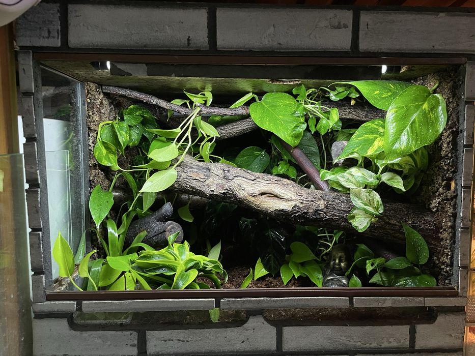 terrarium 70x80x70