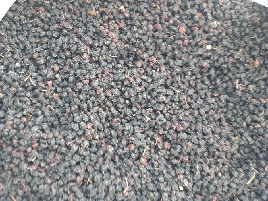 Продам якірці сланкі (кавунці).